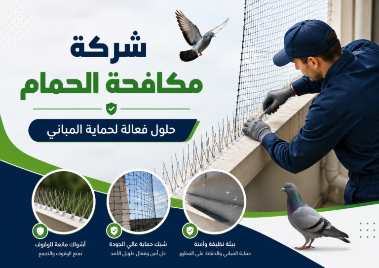 شركة مكافحة الحمام في دبي 🕊️🏢 ضمان مدى الحياة